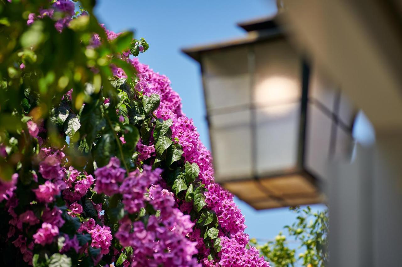 Villa Magnolia Cavtat Exterior foto
